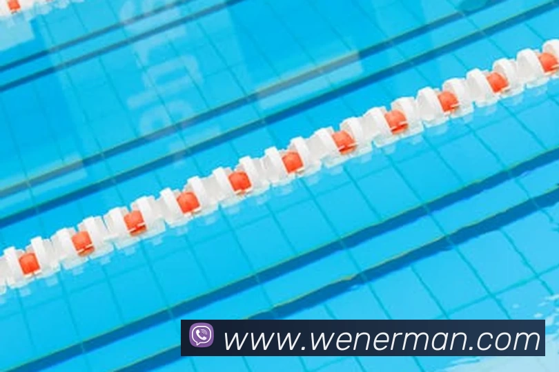 j9游会首页登录平台生态图